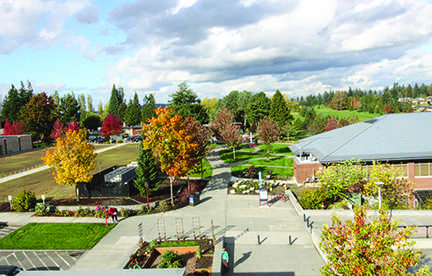 Shuksan and the new grass field, site of the formerIndex building, seen from the roof top of Whitehorse Hall.