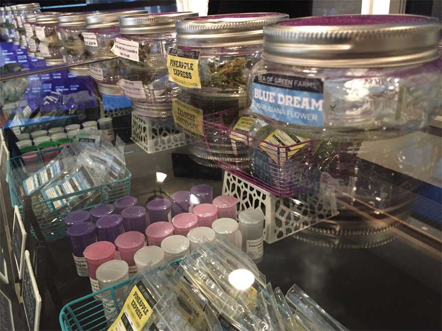 Some of Purple Haze’s strains on display in the shop.