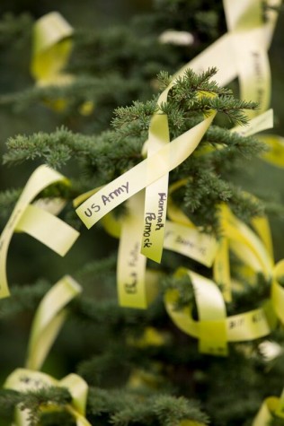 Yellow ribbons adorn a small evergreen in front of the Veterans Office. 