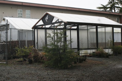 The greenhouse was originally built in the 1970's, but after it had stopped being used it was turned in too storage. Years later it was turned back into a greenhouse, and is now used regularly by students. 