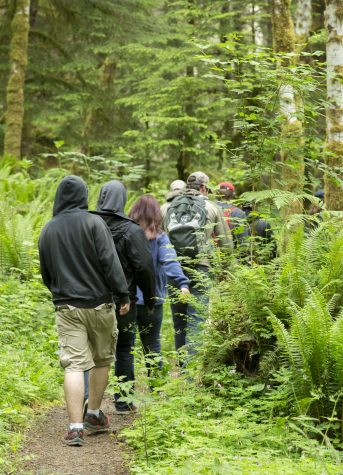 EvCC students trudge along at a good pace through the soggy underbrush in Gifford Pinchot National Forest. 