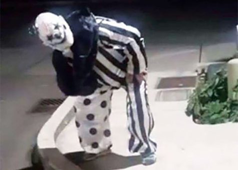 The Clowns Have Reached Everett