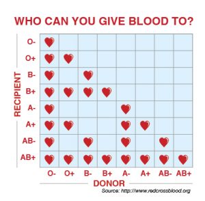 blooddrivegraphs1-01