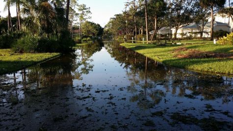Natural Disasters: Are You Prepared?