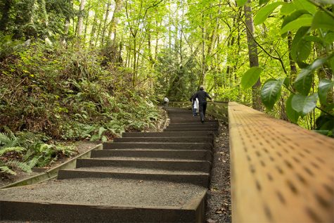 PNW Outdoors: Meadowdale Beach Park