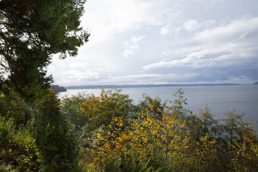 View of the Puget Sound from the middle level lookout of Howarth Park.