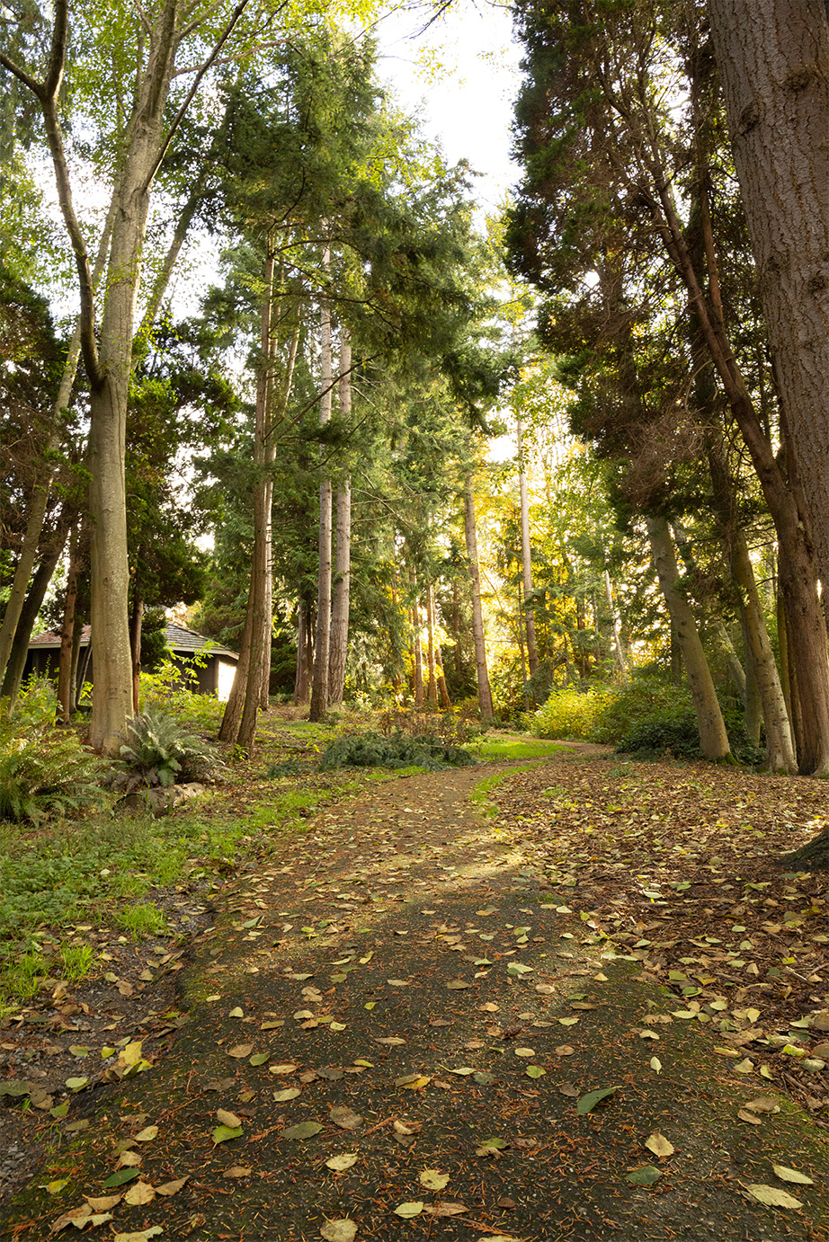 Howarth Park Entrance Fee