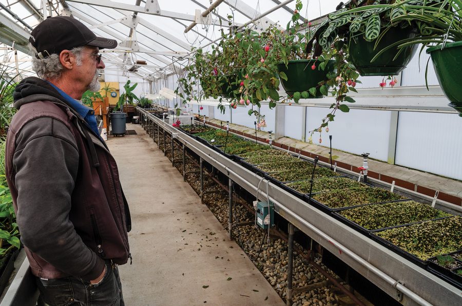 Grounds Department lead John Syson, surveys flowering plants and seedlings that will get transplanted outside the greenhouse in the springtime.