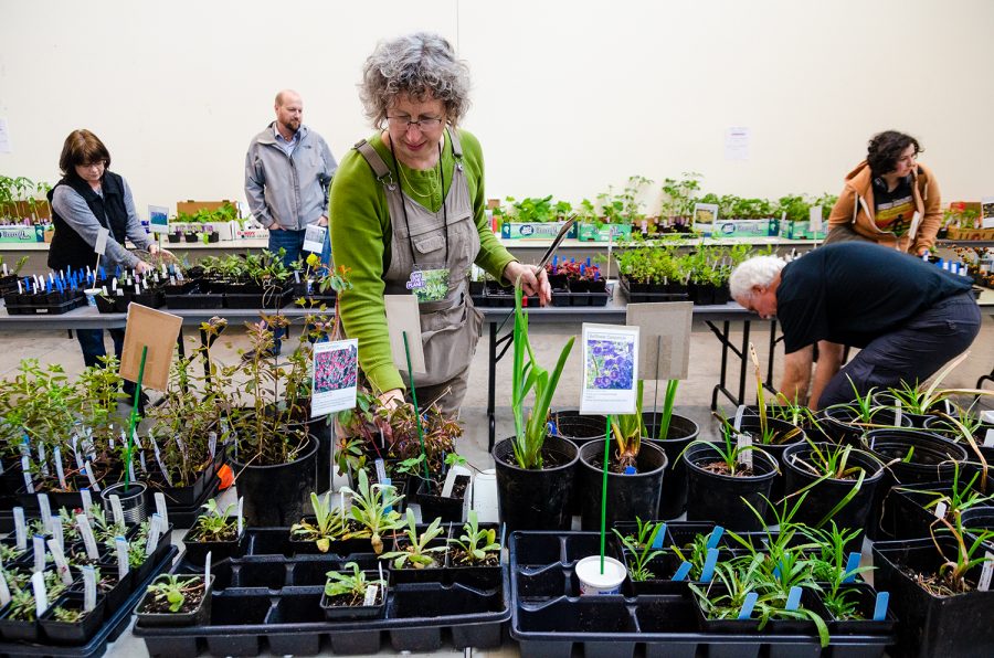 Students, staff and community members browse the 2018 plant swap and sale in Whitehorse Hall. This years event will take place on Tuesday, April 23, from 10 a.m. -1 p.m. in the Whitehorse Hall Critique Space.