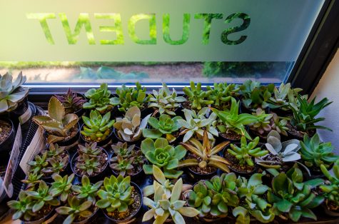 Midterms Succ: Student LIFE Hosts Succulent Planting Event Monday, May 13