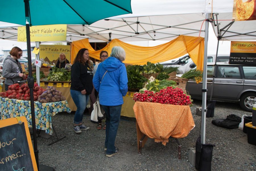 Locals shop for farm-fresh produce at the Everett Farmers Market.
