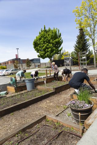 What the Garden Grows: Strawberries, Leeks and Onions, Oh My!