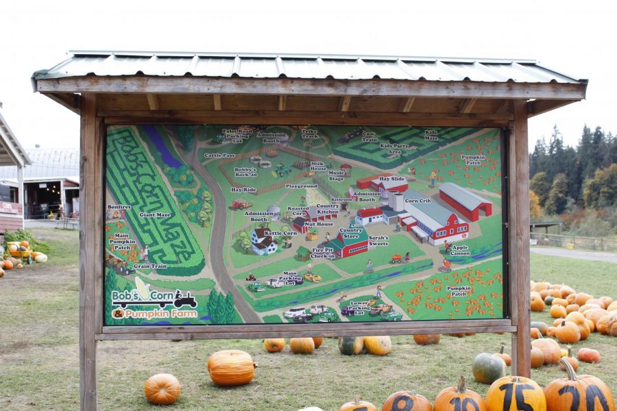 Map of Bob's Corn and Pumpkin Farm shows the location of their many amenities. Activities at Bob's include a corn maze, hay rides, and a cozy county story on site. 