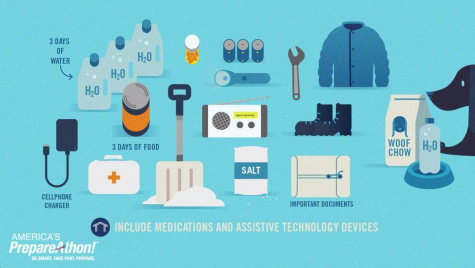 Emergency supplies infographic.