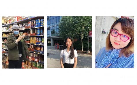 Deciding to Stay or Leave During a Pandemic: International Student’s Perspective