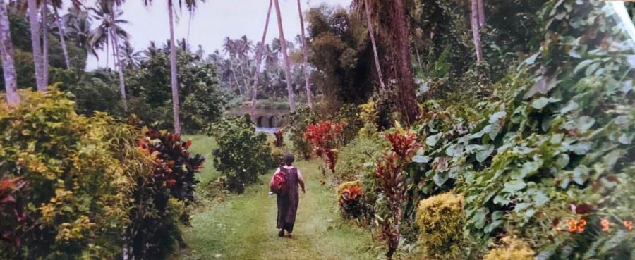 Cynthia Clarke, pictured walking into the tropical foliage.