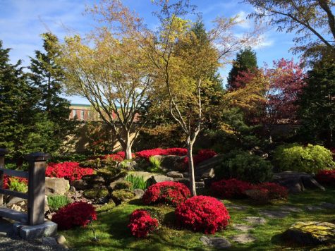 The serene Japanese garden at the JCRC.