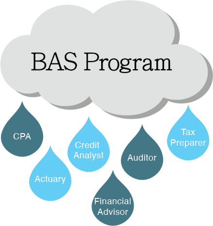BAS Program Graphic