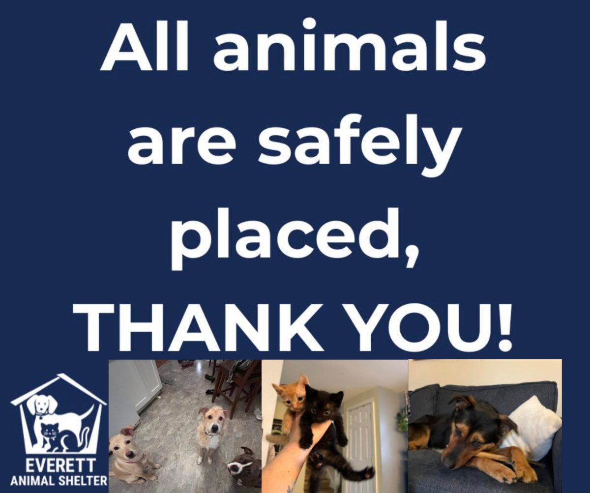 People shared photos over social media of the animals becoming accustomed to their temporary foster homes.