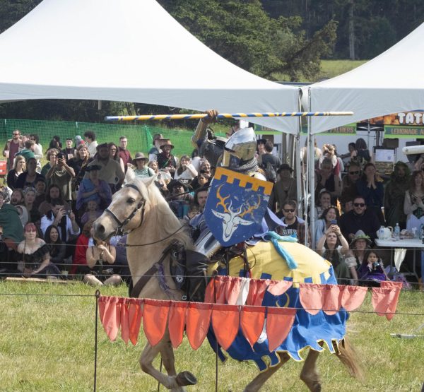 The knight rushes in to strike at this opponent's lance so quickly that it's easy to miss if you don't pay attention.